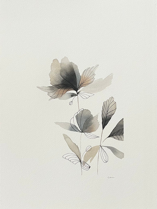 Blooming shadows no 2